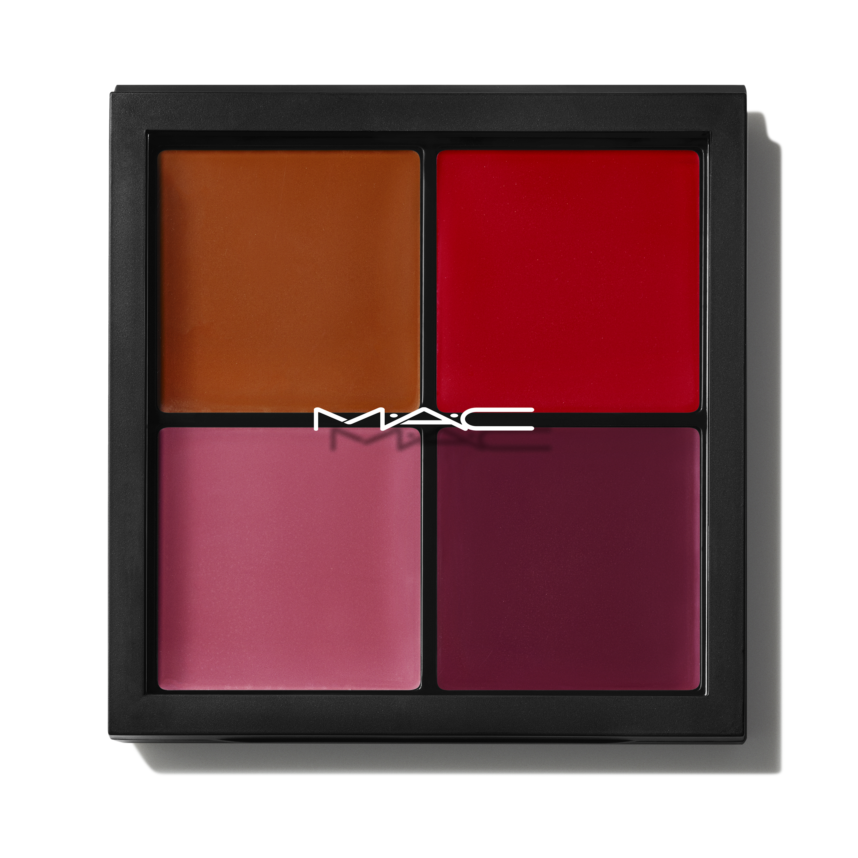 Pro Face Palette: Blush - Polished Daily Care