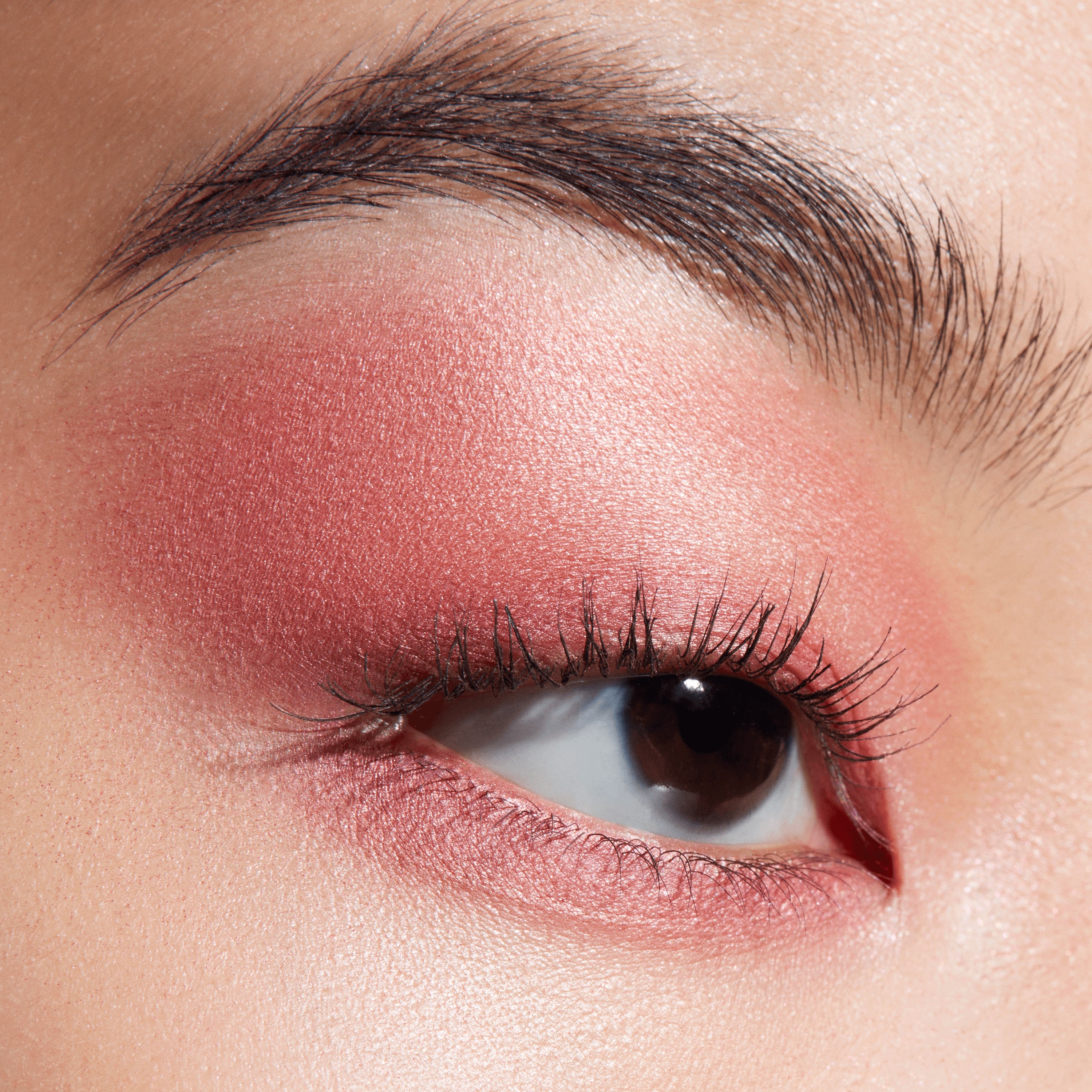 Connect In Colour Eye Shadow Palette: Rose Lens - Smart Routine Choice