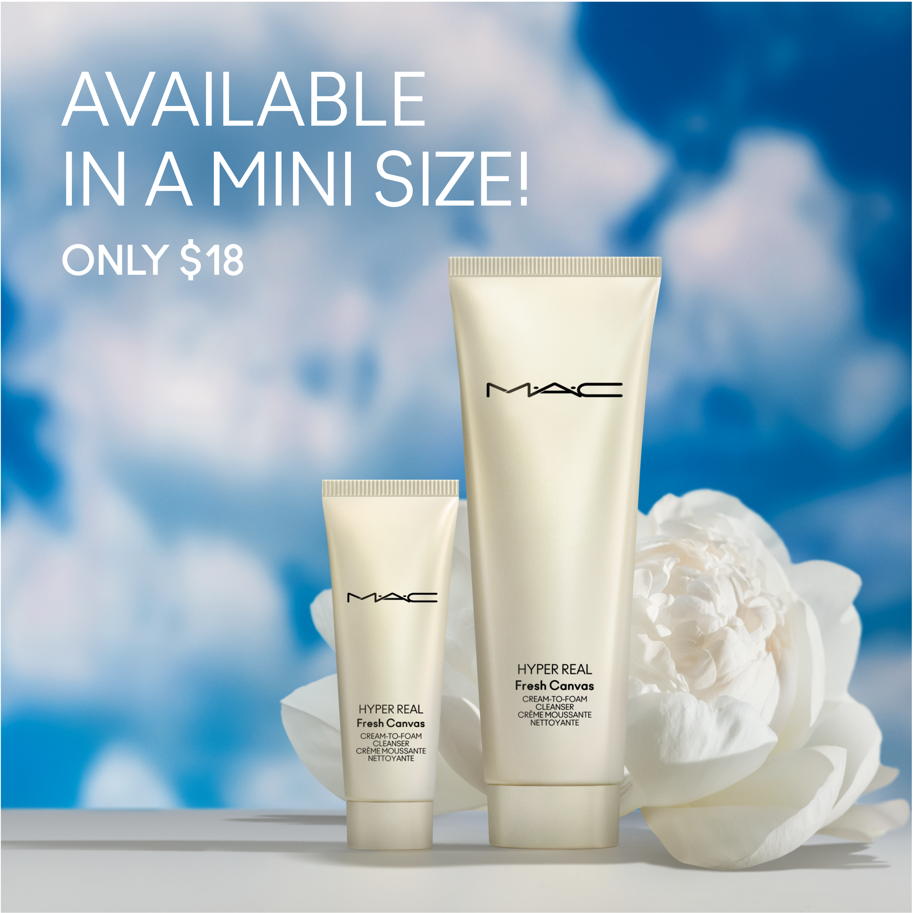 Hyper Real Fresh Canvas Cream-To-Foam Cleanser - Polished Daily Care